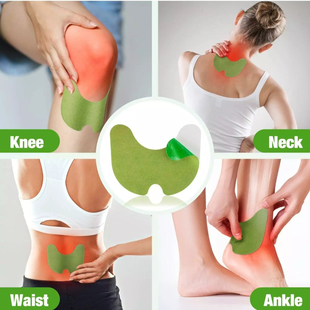 Warmwood Knee Plaster Sticker Wellnee Back Neck Pain Ache Relief Patch