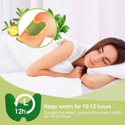 Warmwood Knee Plaster Sticker Wellnee Back Neck Pain Ache Relief Patch