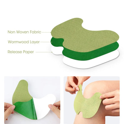 Warmwood Knee Plaster Sticker Wellnee Back Neck Pain Ache Relief Patch